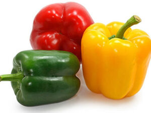 Capsicum